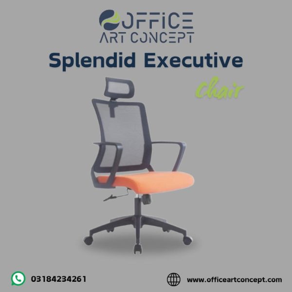 Splendid Executive Chair